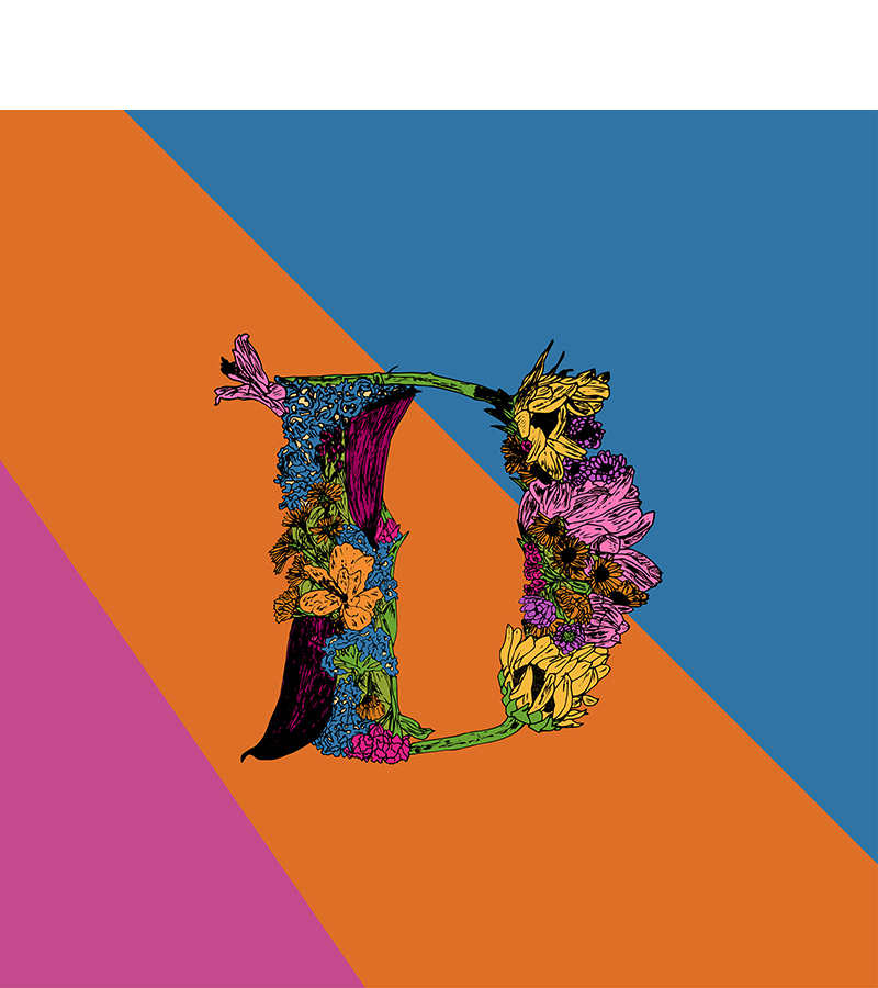floral letter D with 3 color background